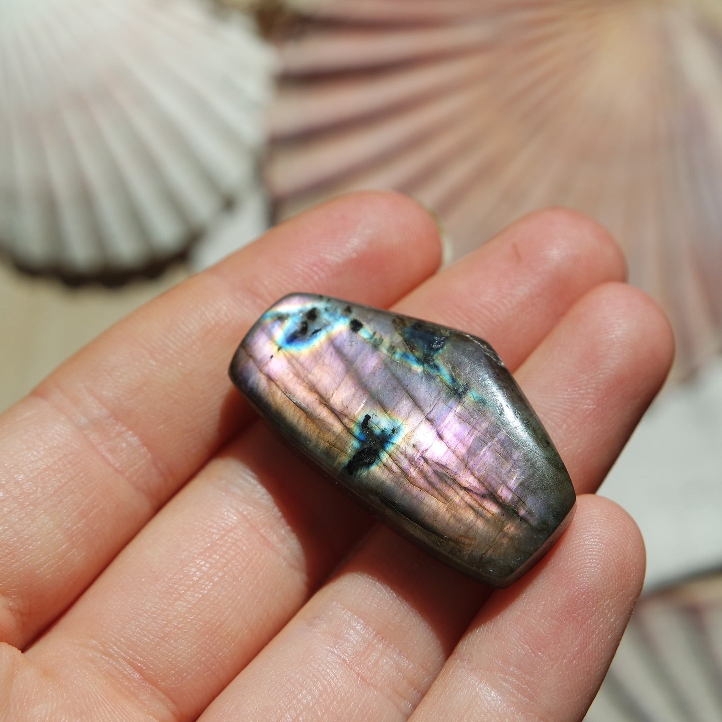 Lila Labradorit Cabochon ~ 24ZD