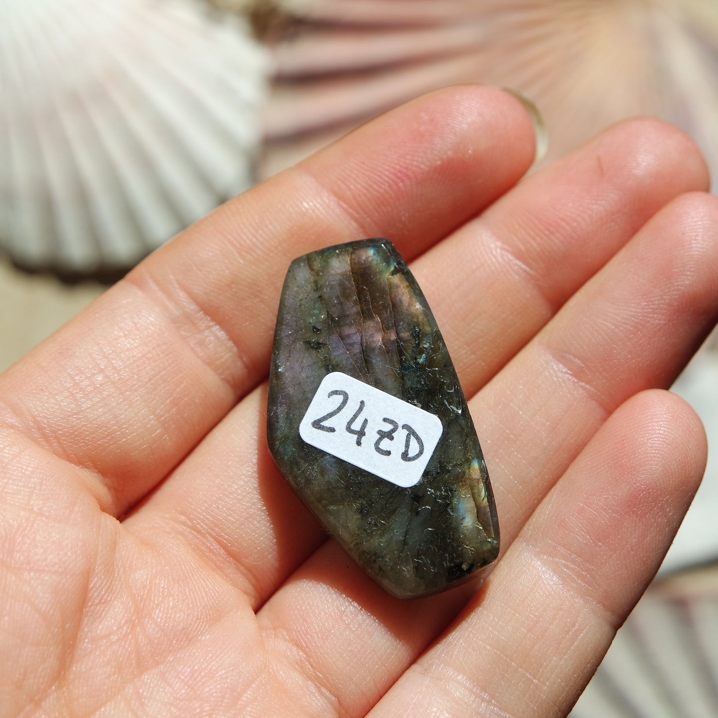 Lila Labradorit Cabochon ~ 24ZD