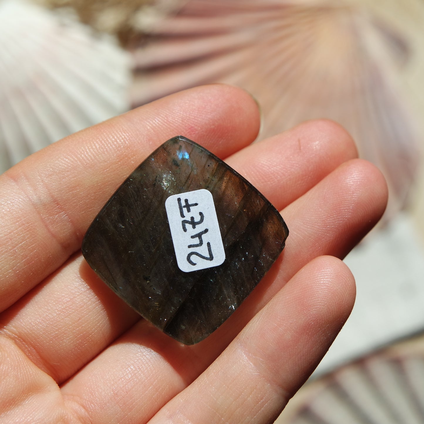 Lila Labradorit Cabochon ~ 24ZF