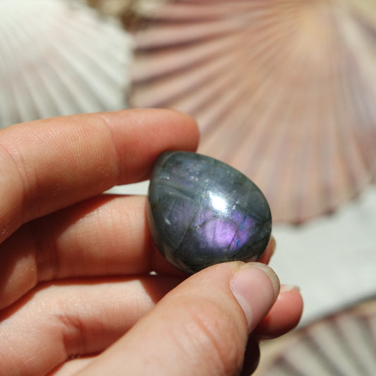 Lila Labradorit Cabochon ~ 24ZG