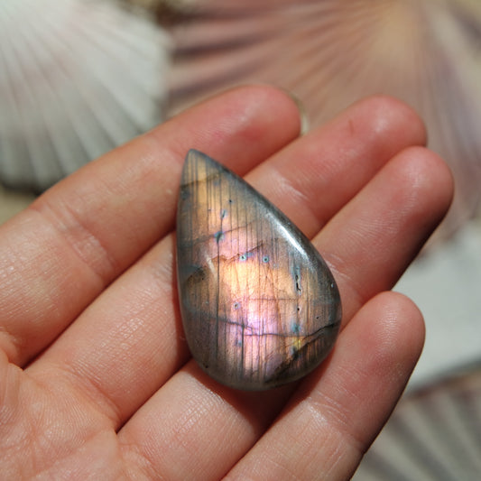 Lila Labradorit Cabochon ~ 24ZH