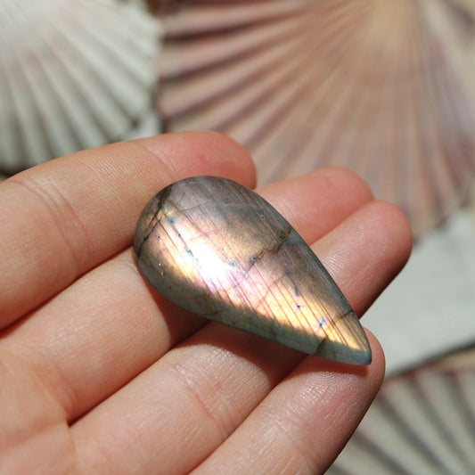 Lila Labradorit Cabochon ~ 24ZH