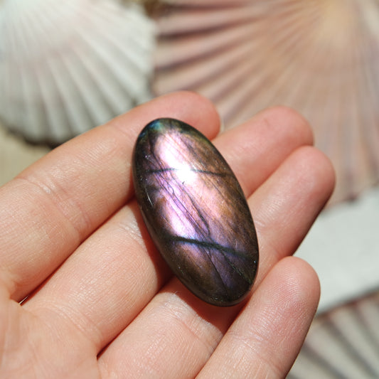 Lila Labradorit Cabochon ~ 24Zi