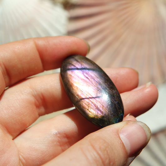 Lila Labradorit Cabochon ~ 24Zi