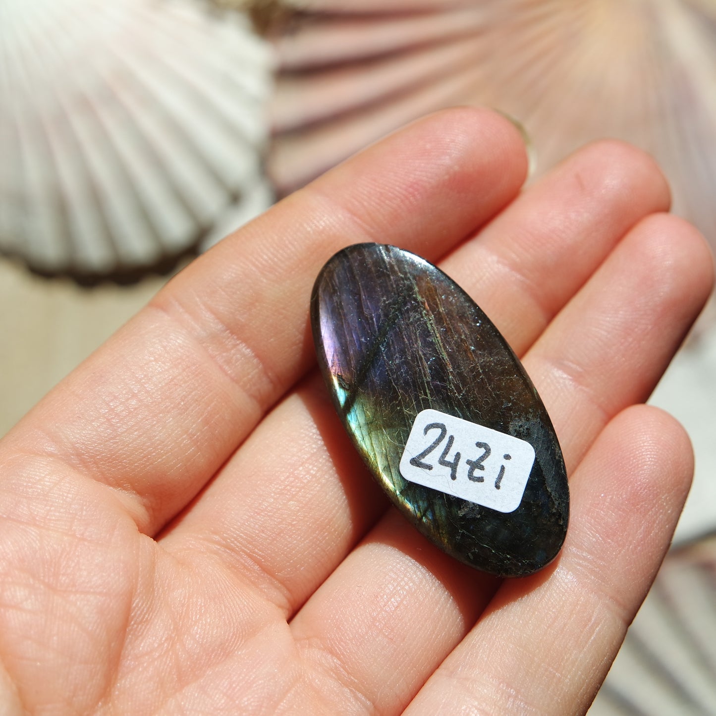 Lila Labradorit Cabochon ~ 24Zi