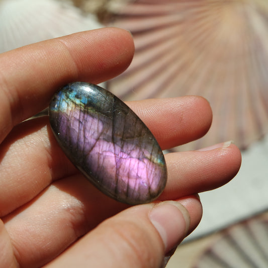 Lila Labradorit Cabochon ~ 24Zj