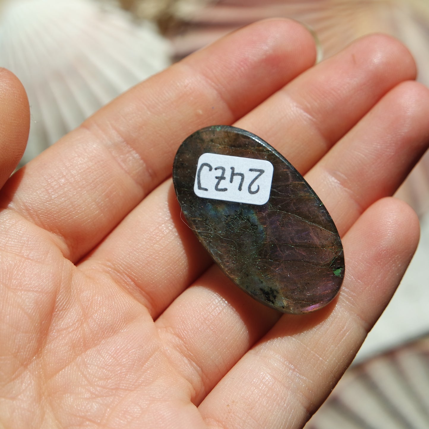 Lila Labradorit Cabochon ~ 24Zj