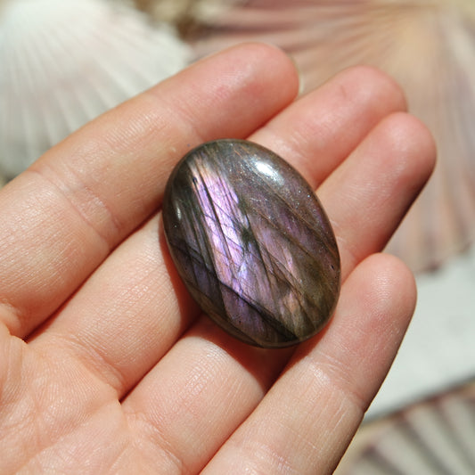 Lila Labradorit Cabochon ~ 24ZK
