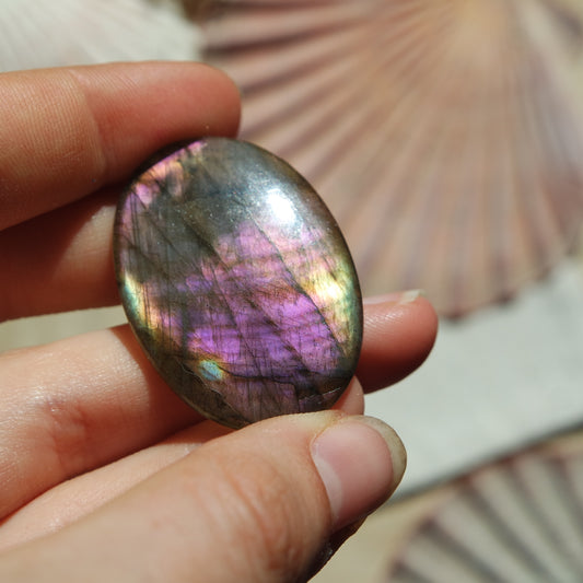 Lila Labradorit Cabochon ~ 24ZL