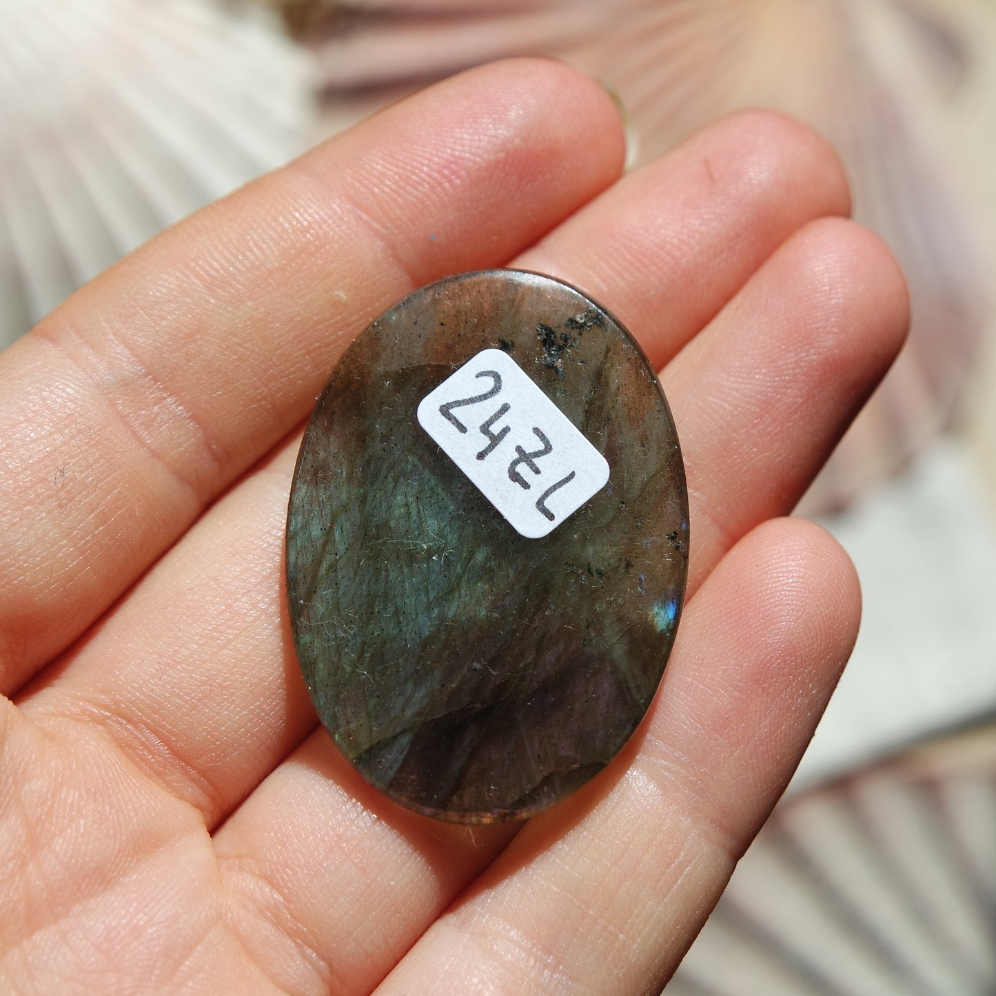 Lila Labradorit Cabochon ~ 24ZL