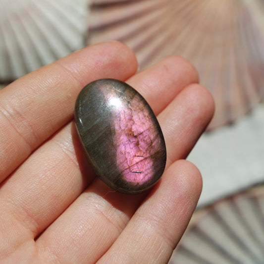 Lila Labradorit Cabochon ~ 24ZM