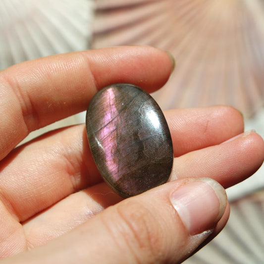 Lila Labradorit Cabochon ~ 24ZM