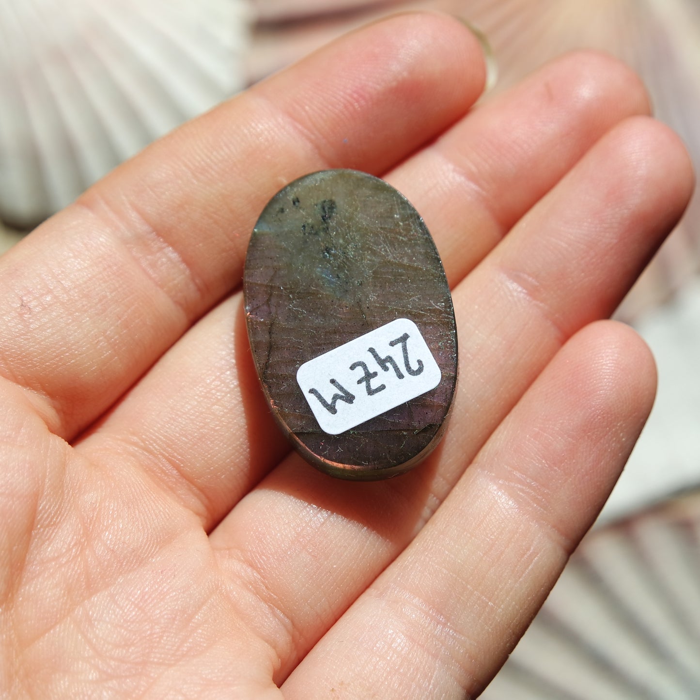 Lila Labradorit Cabochon ~ 24ZM
