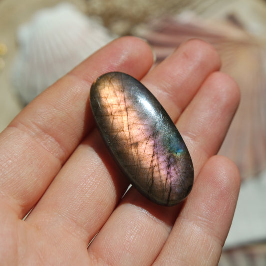 Lila Labradorit Cabochon ~ 24ZN