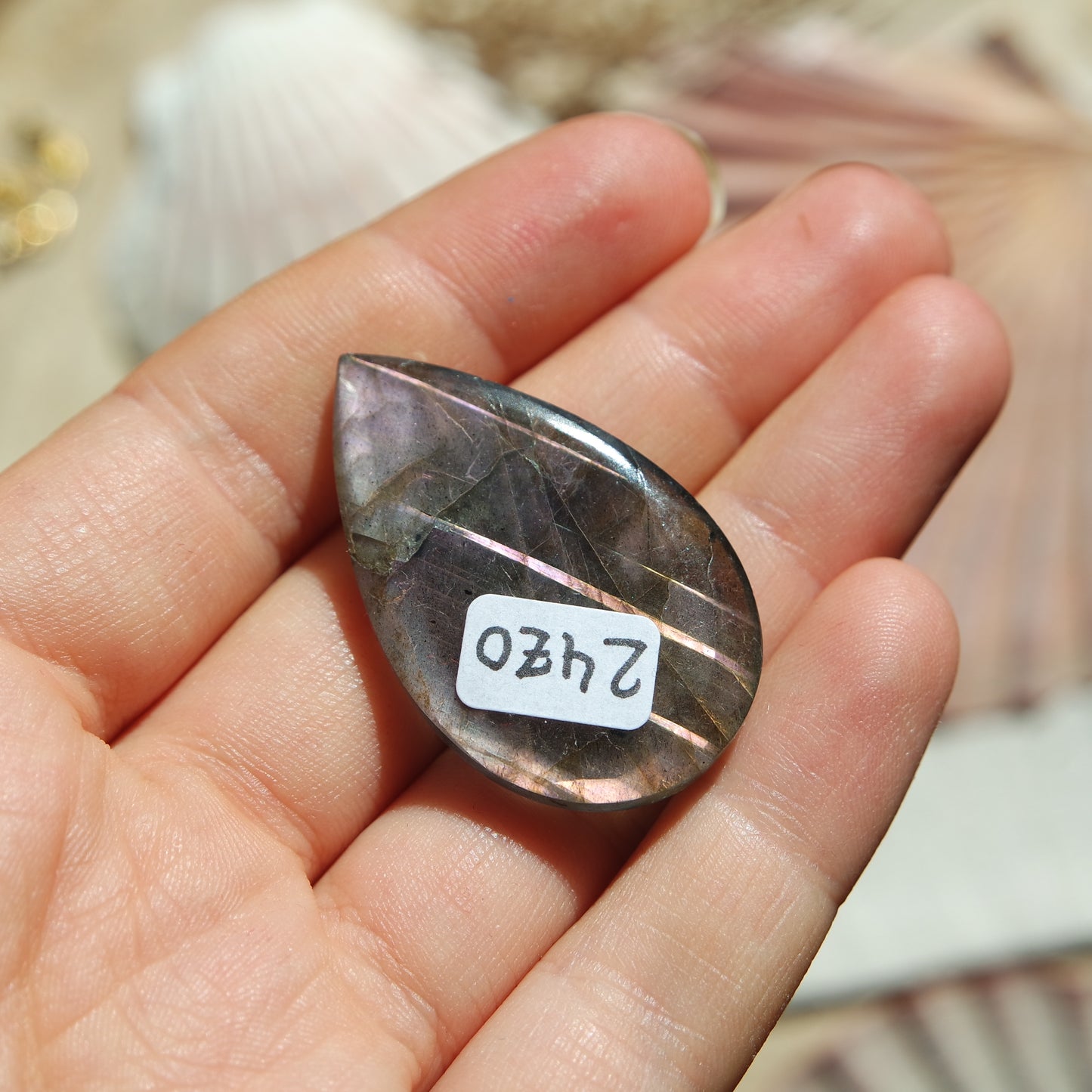 Lila Labradorit Cabochon ~ 24ZO