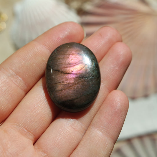Lila Labradorit Cabochon ~ 24ZP