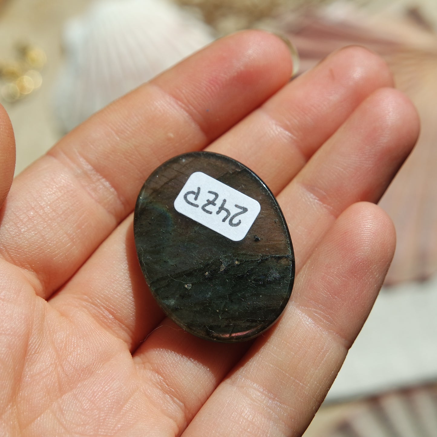 Lila Labradorit Cabochon ~ 24ZP
