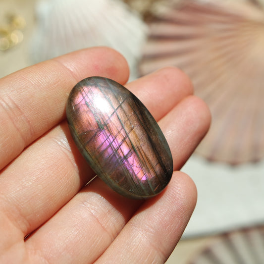 Lila Labradorit Cabochon ~ 24ZQ