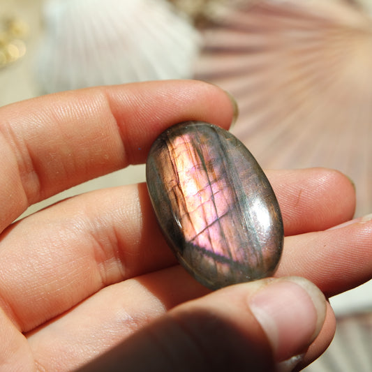 Lila Labradorit Cabochon ~ 24ZQ