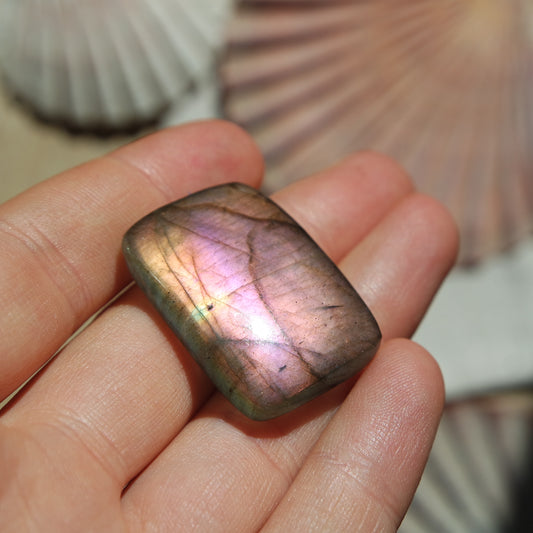 Lila Labradorit Cabochon ~ 24ZR
