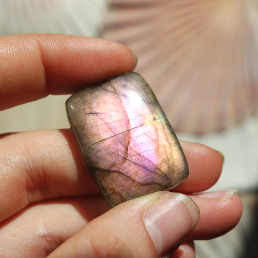 Lila Labradorit Cabochon ~ 24ZR