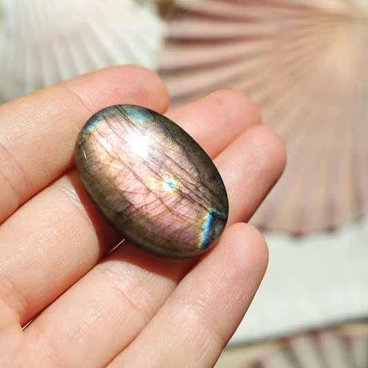 Lila Labradorit Cabochon ~ 24ZS