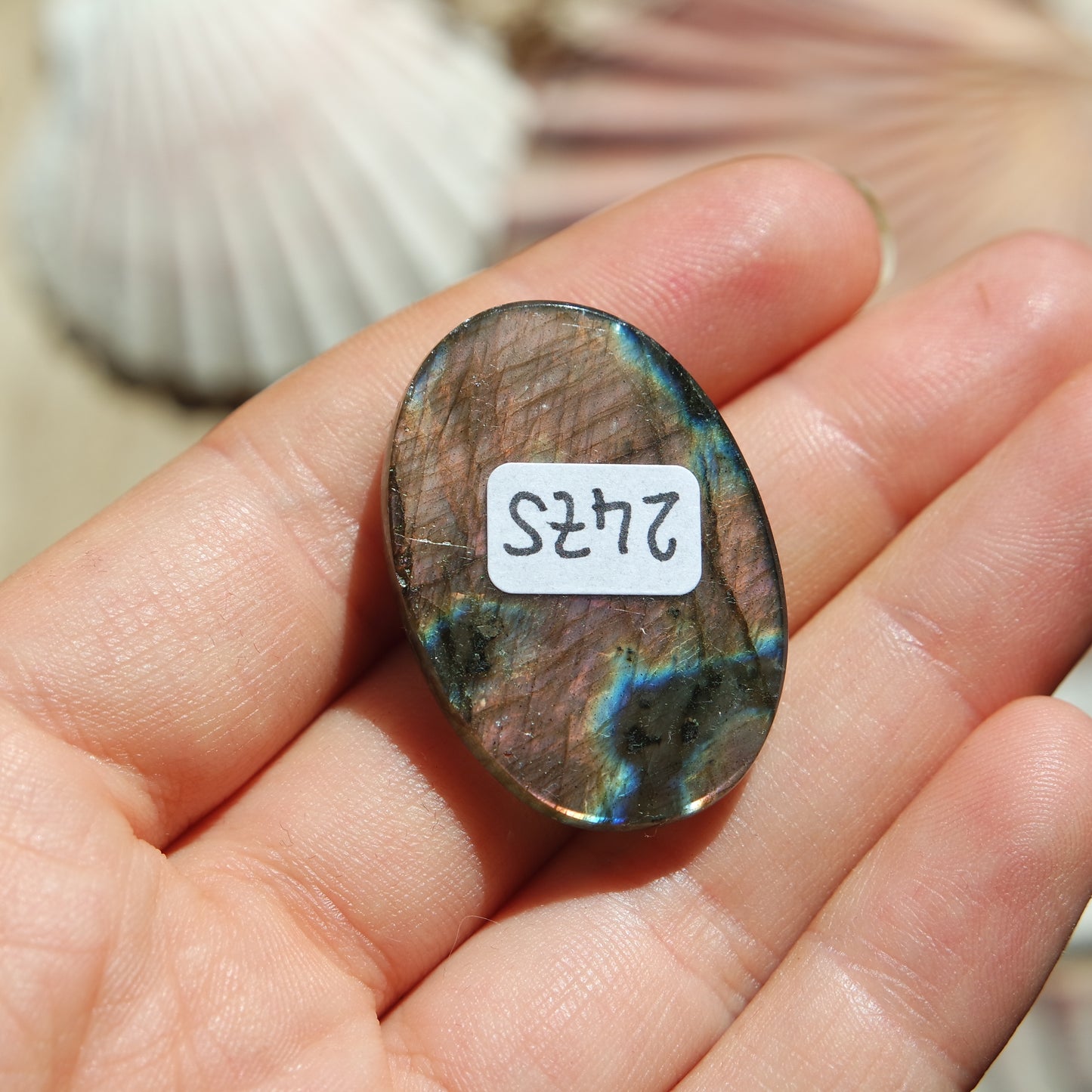 Lila Labradorit Cabochon ~ 24ZS