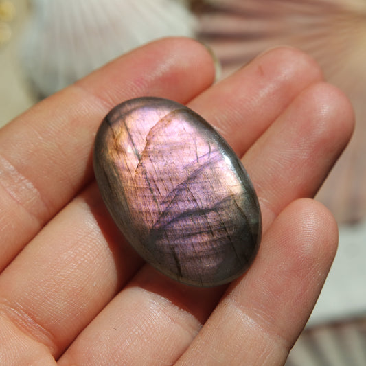 Lila Labradorit Cabochon ~ 24ZT