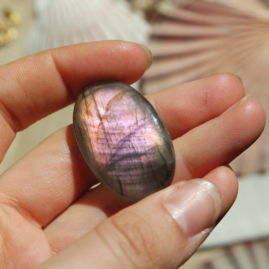 Lila Labradorit Cabochon ~ 24ZT