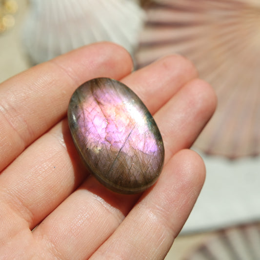 Lila Labradorit Cabochon ~ 24ZU