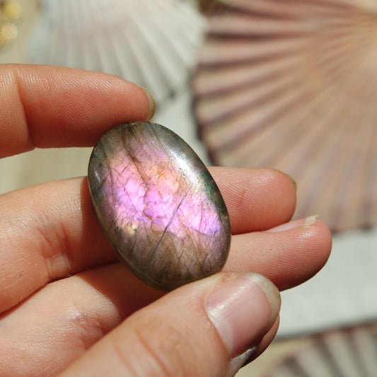 Lila Labradorit Cabochon ~ 24ZU