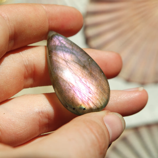 Lila Labradorit Cabochon ~ 24ZW