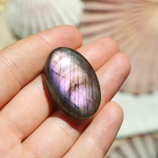 Lila Labradorit Cabochon ~ 24ZY