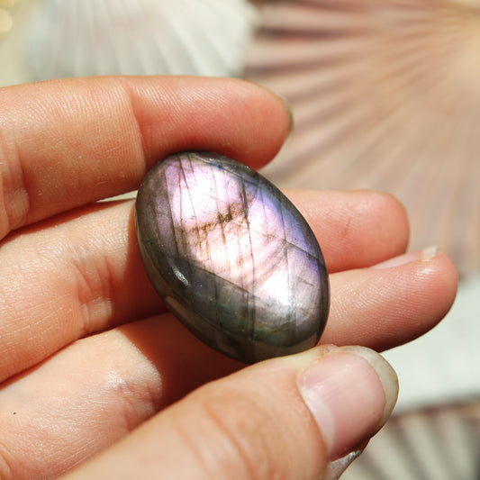 Lila Labradorit Cabochon ~ 24ZY