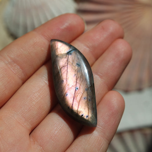 Lila Labradorit Cabochon ~ 24ZZ