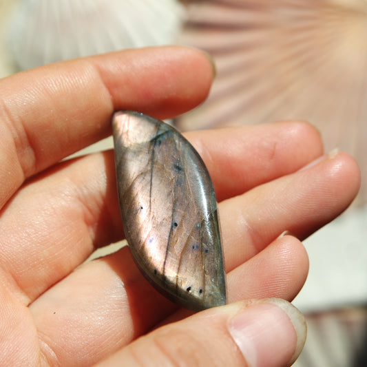 Lila Labradorit Cabochon ~ 24ZZ