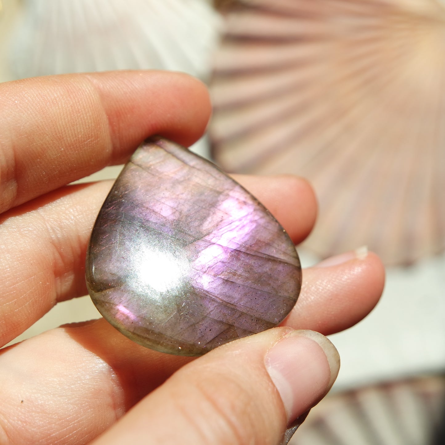 Lila Labradorit Cabochon ~ 26ZA
