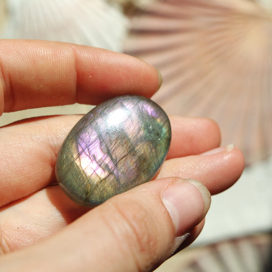 Lila Labradorit Cabochon ~ 26ZB