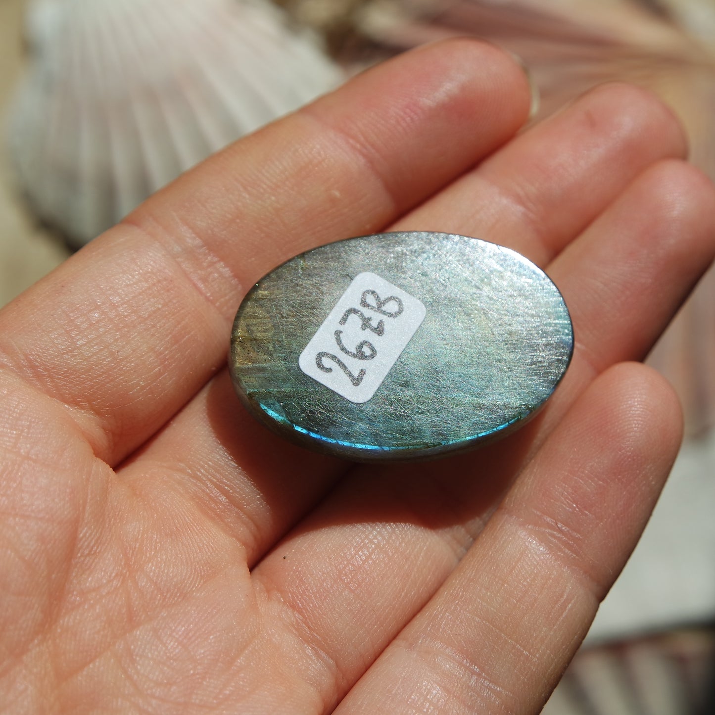 Lila Labradorit Cabochon ~ 26ZB