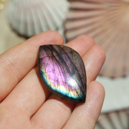 Lila Labradorit Cabochon ~ 26ZD