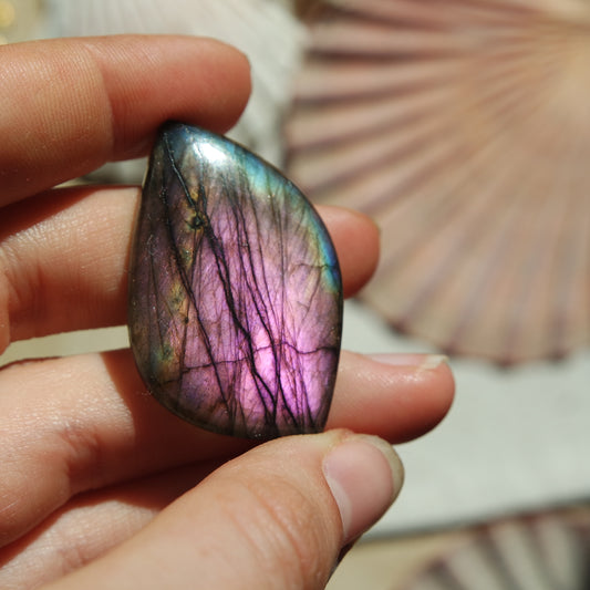 Lila Labradorit Cabochon ~ 26ZD