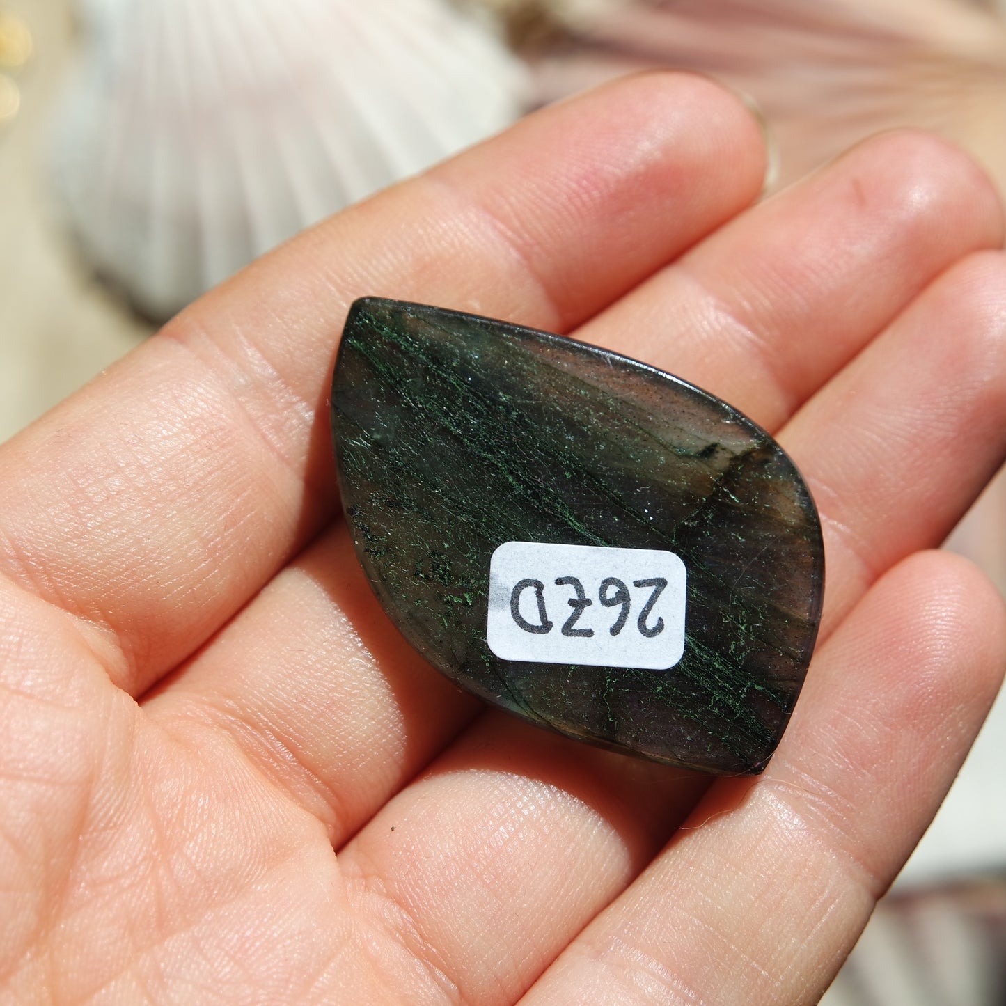 Lila Labradorit Cabochon ~ 26ZD