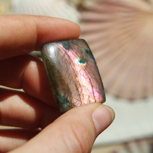 Lila Labradorit Cabochon ~ 26ZG