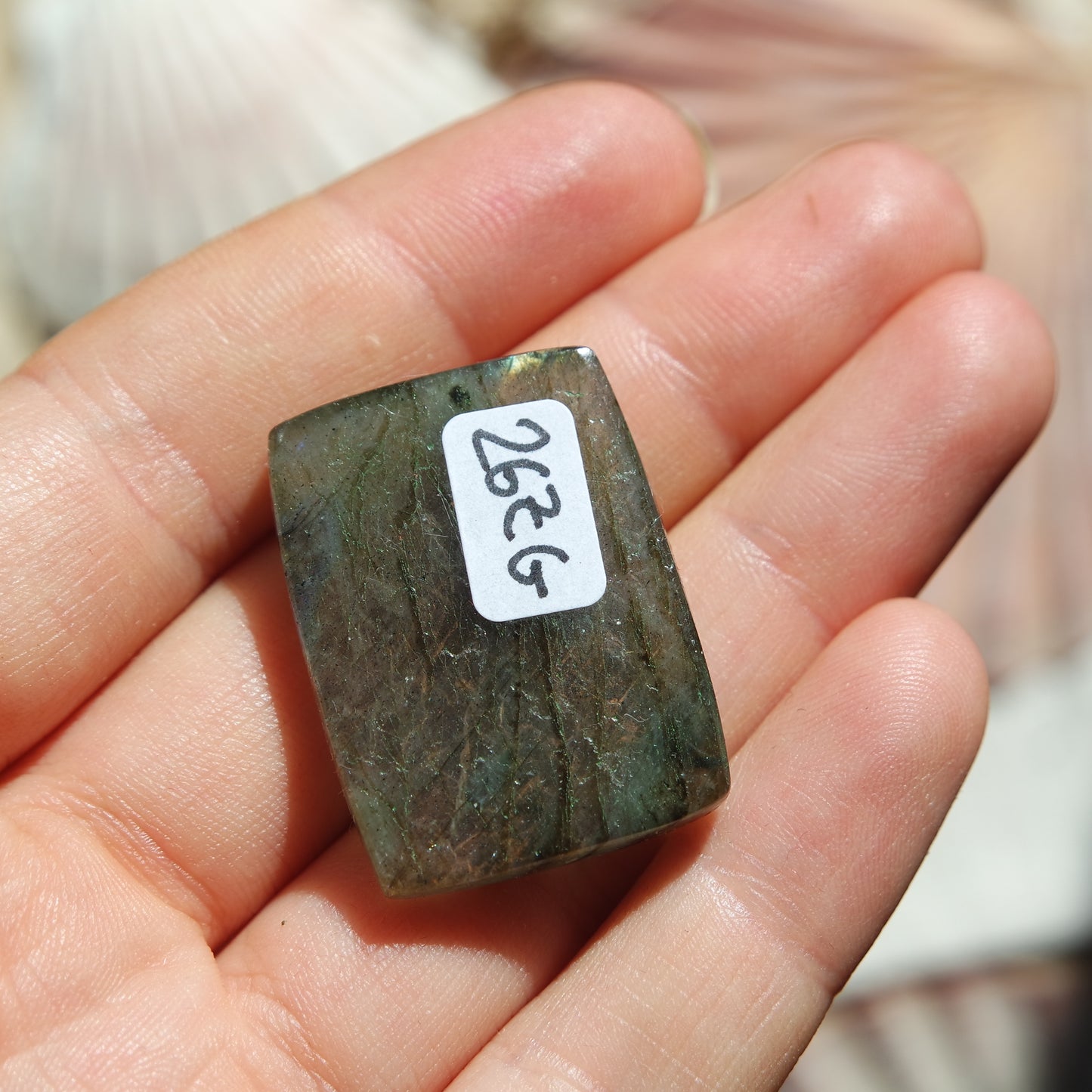Lila Labradorit Cabochon ~ 26ZG