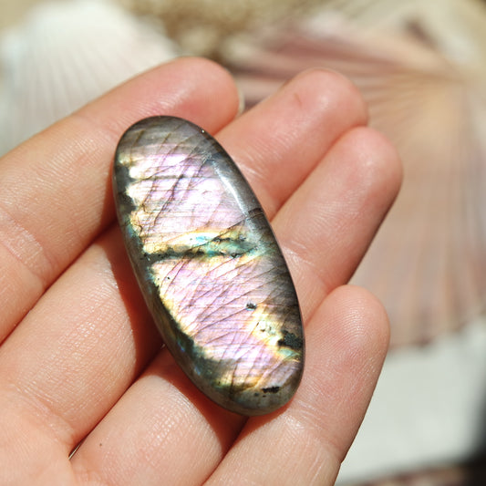 Lila Labradorit Cabochon ~ 26ZH