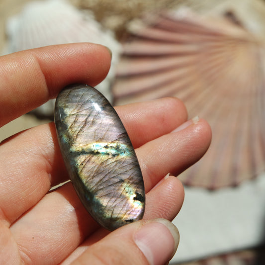 Lila Labradorit Cabochon ~ 26ZH