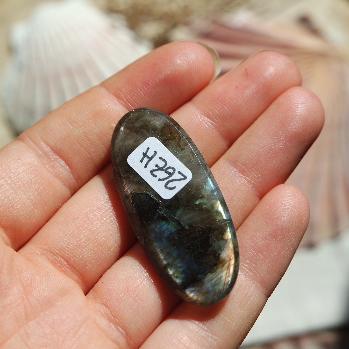 Lila Labradorit Cabochon ~ 26ZH