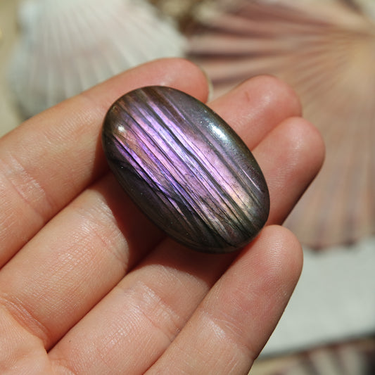 Lila Labradorit Cabochon ~ 26Zi