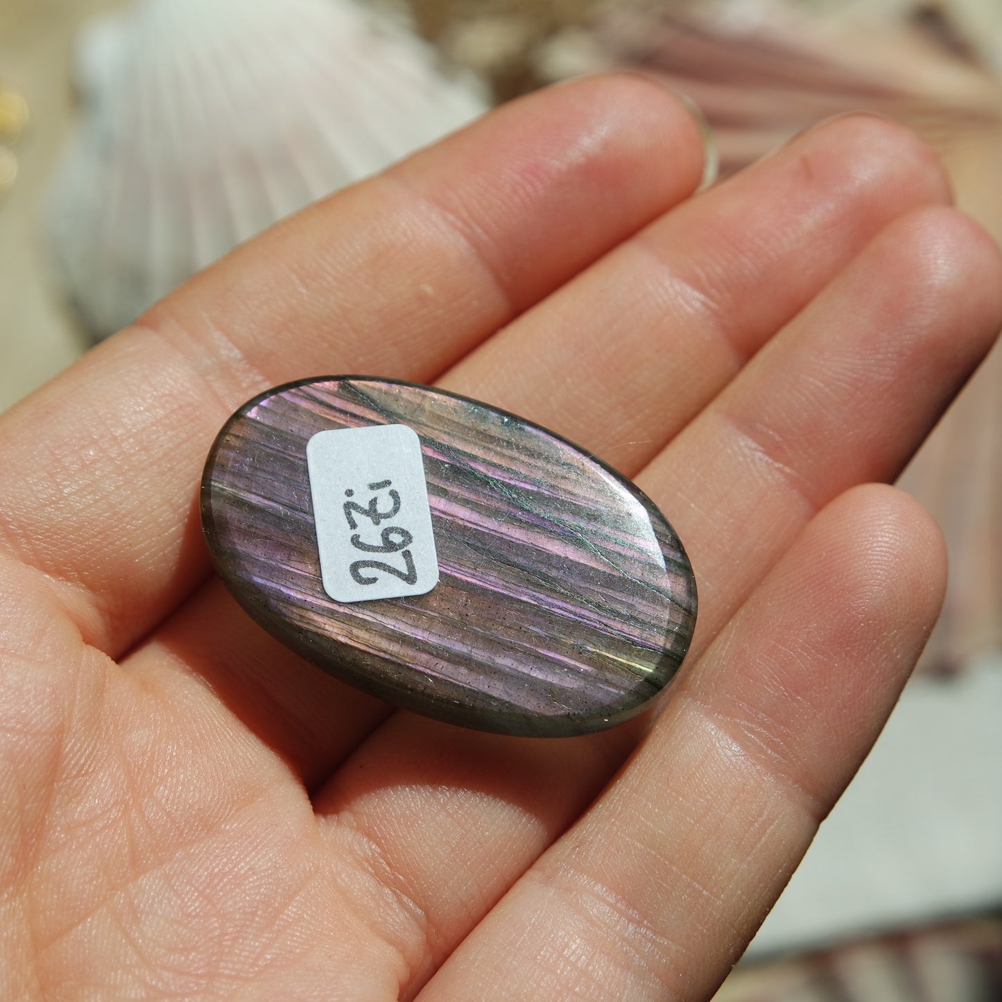 Lila Labradorit Cabochon ~ 26Zi