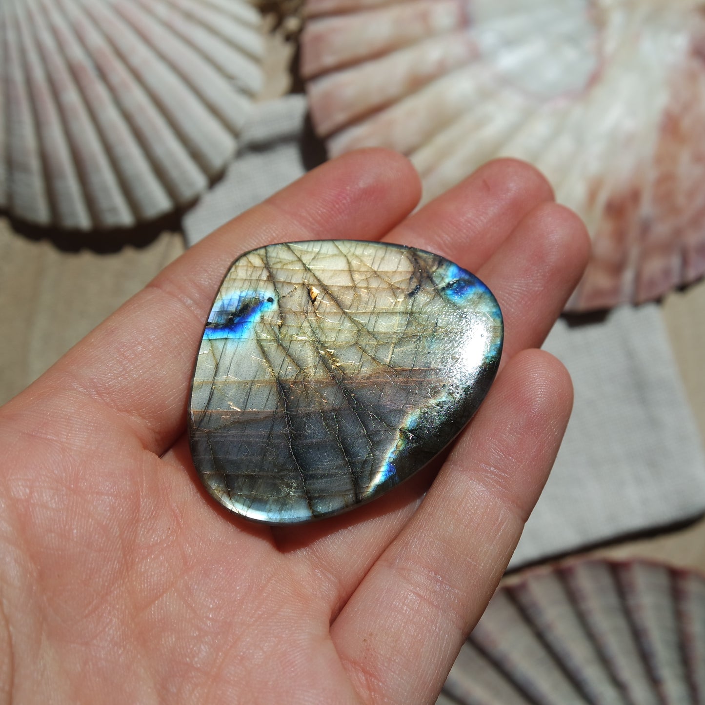 XL Labradorit Cabochon ~ 54XA